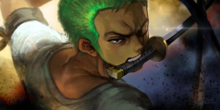 One piece roronoa zoro