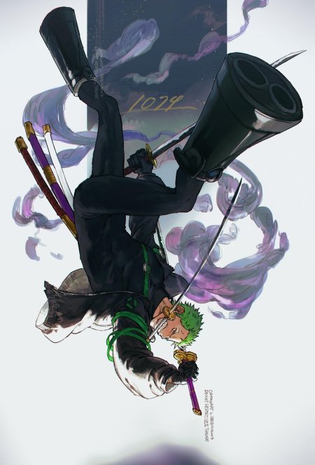 One piece roronoa zoro