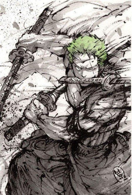 One piece roronoa zoro