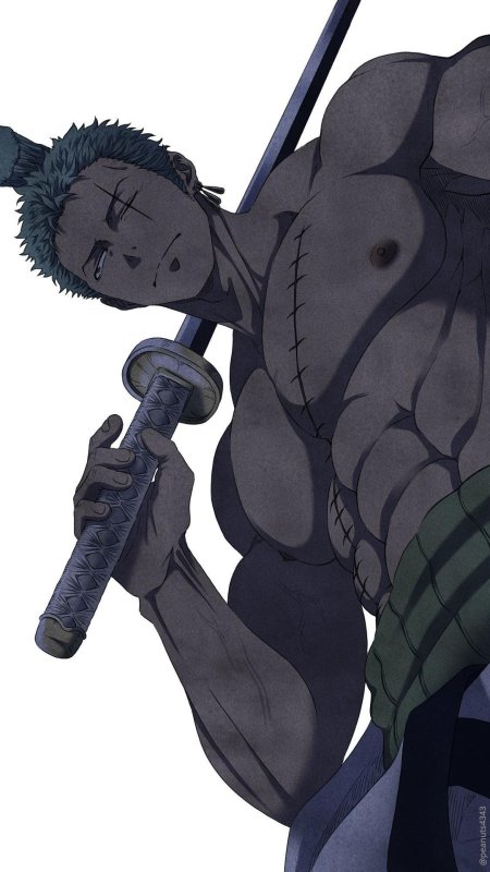 One piece roronoa zoro