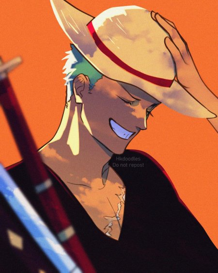 One piece roronoa zoro