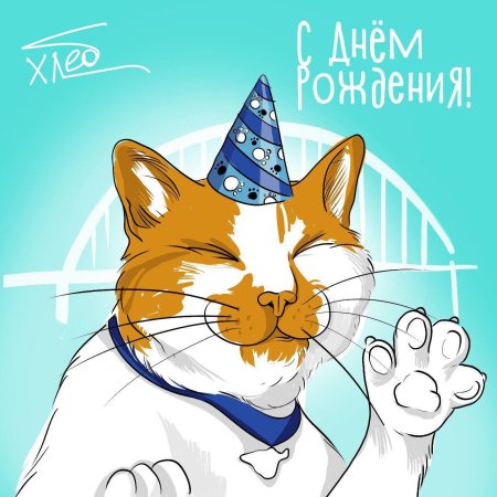 Кот с днем рождения