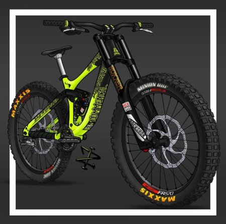 Двухподвес specialized downhill