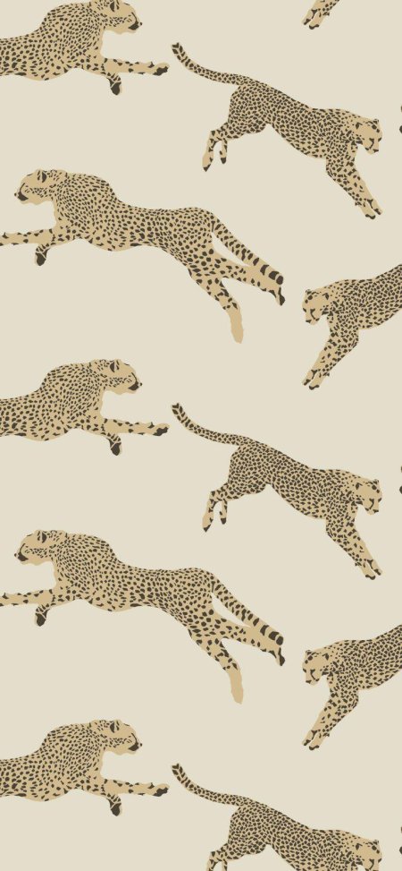 Cheetah print