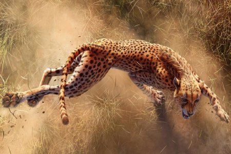 Леопард и гепард ягуар скорость