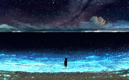 Море ночь