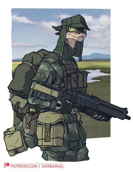 Фурри военные