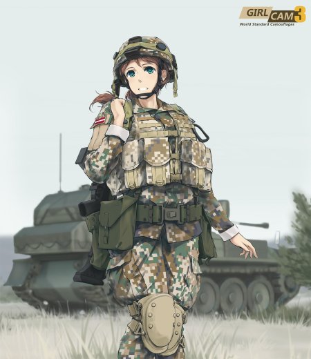 Солдат бундесвера anime art