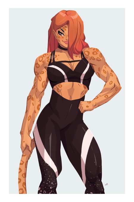 Cheetah dc