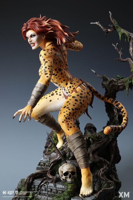 Cheetah dc figure