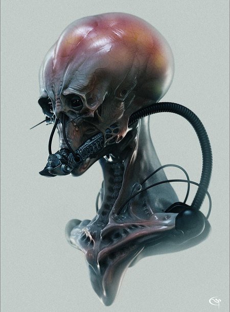 Alien alien