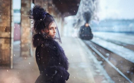 Анна каренина