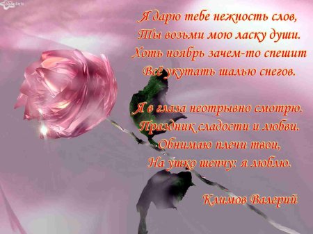 Дарю нежность