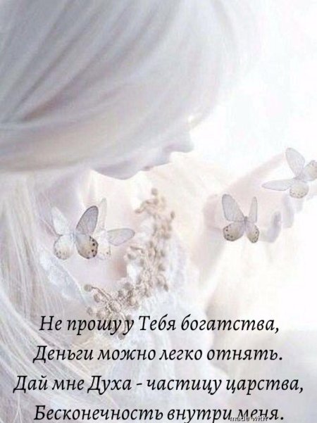 Нежная эстетика