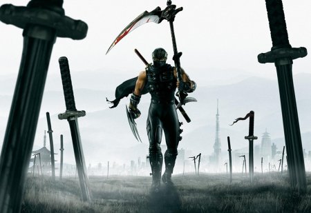 Ninja gaiden ii