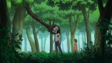 В лесу мерцания светлячков - hotarubi no mori e (2011)