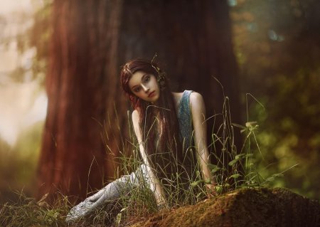 Agnieszka lorek эльфы