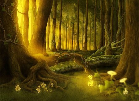 «зачарованный лес» («enchanted forest»)