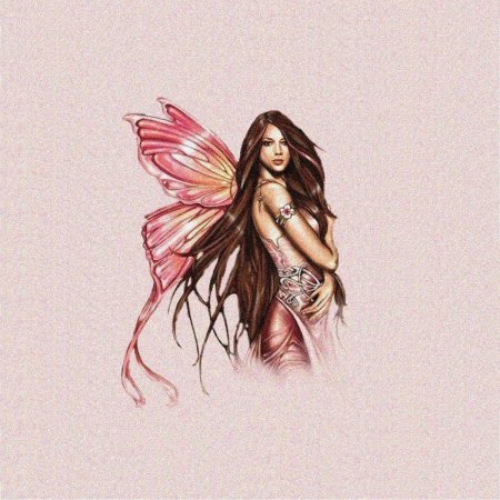 Fairy fairy