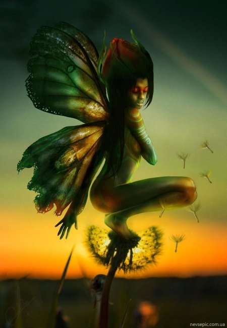 Fairy fairy