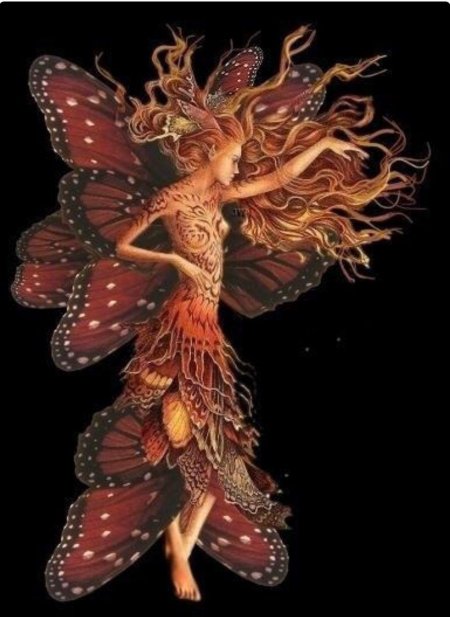 Fairy fairy