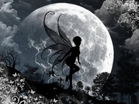 Fairy fairy
