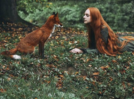 Александра бочкарева фотограф лиса