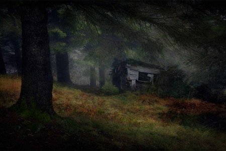 Домик в дремучем лесу
