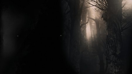 Игра darkwood