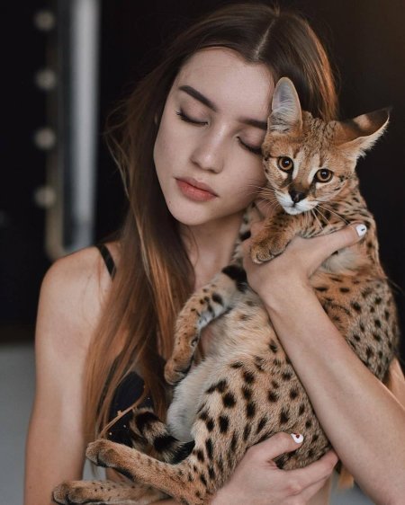 Кошка фотомодель