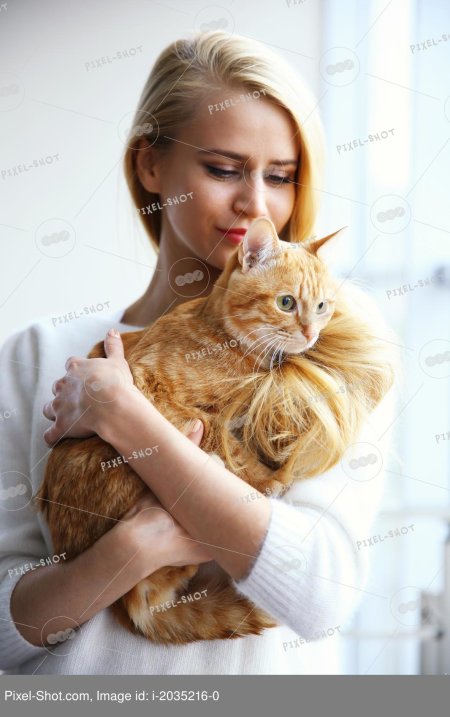 Девушка держит рыжего кота