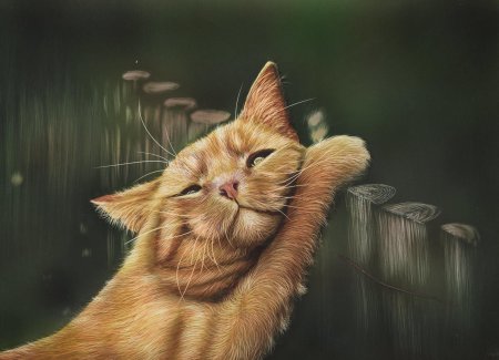 Рыжие коты
