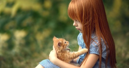 Девушка с рыжим котом