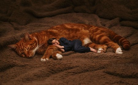 Девушка с рыжим котом