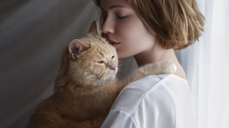 Девушка обнимает кошку