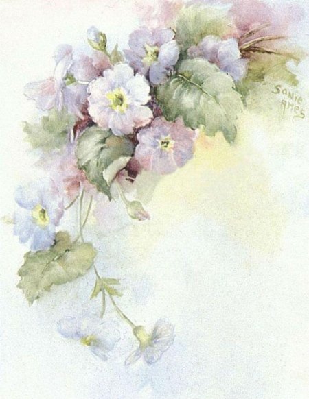 Художник sonie ames