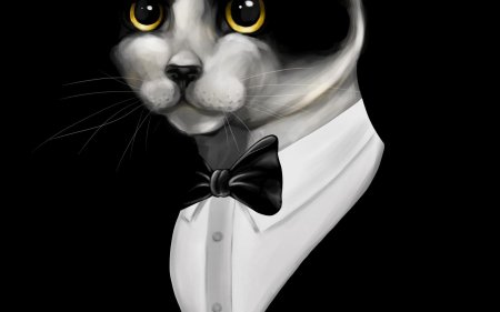 Кот в смокинге