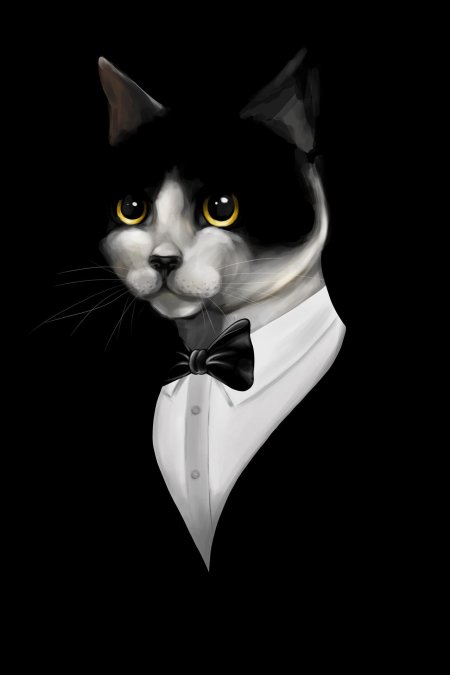 Кот в смокинге