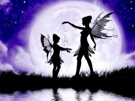 Fairy fairy