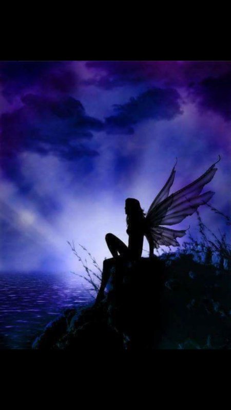 Fairy fairy