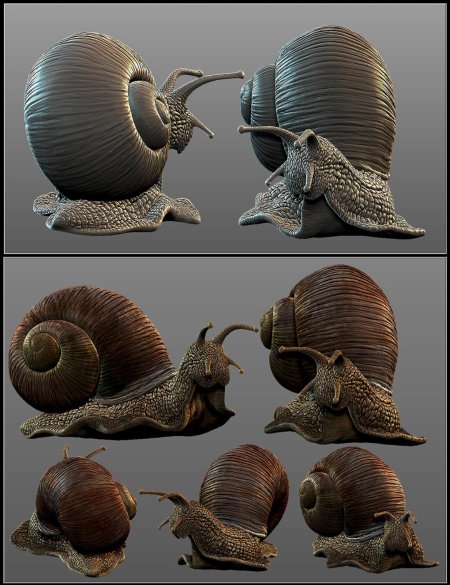Улитка zbrush
