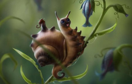 Улитка с