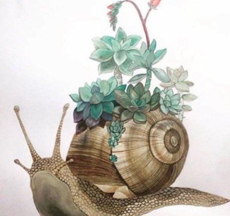 Рисунки улитки