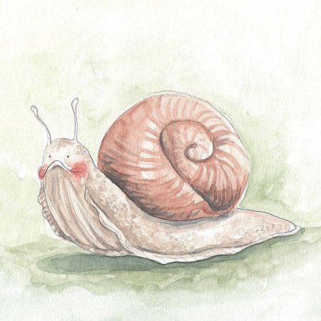 Рисунки улитки