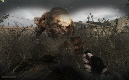 Сталкер зов припяти псевдогигант