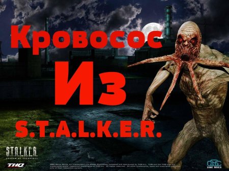 Сталкер кровосос