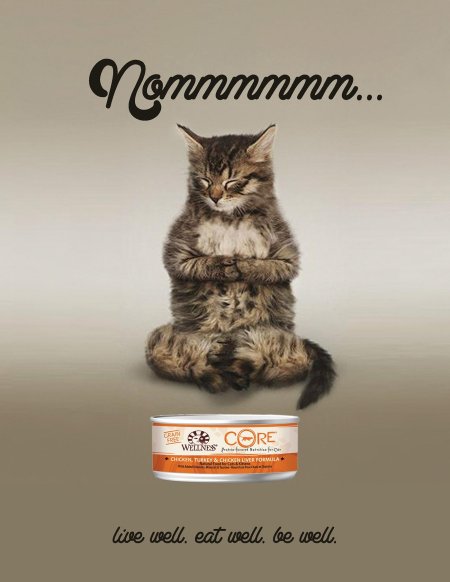 Котик дзен