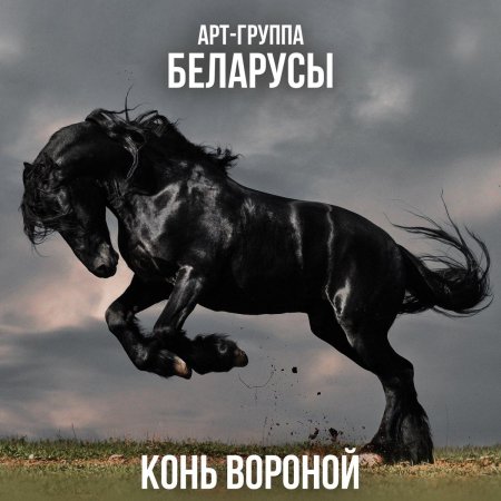 Фриз фризская лошадь
