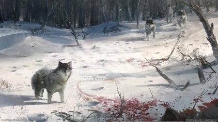 Волк в снегу