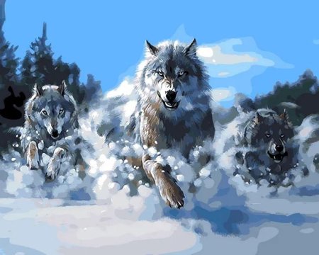Картины волка